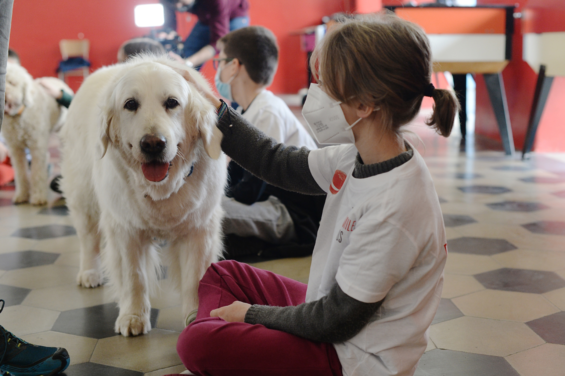 Dog Therapy1