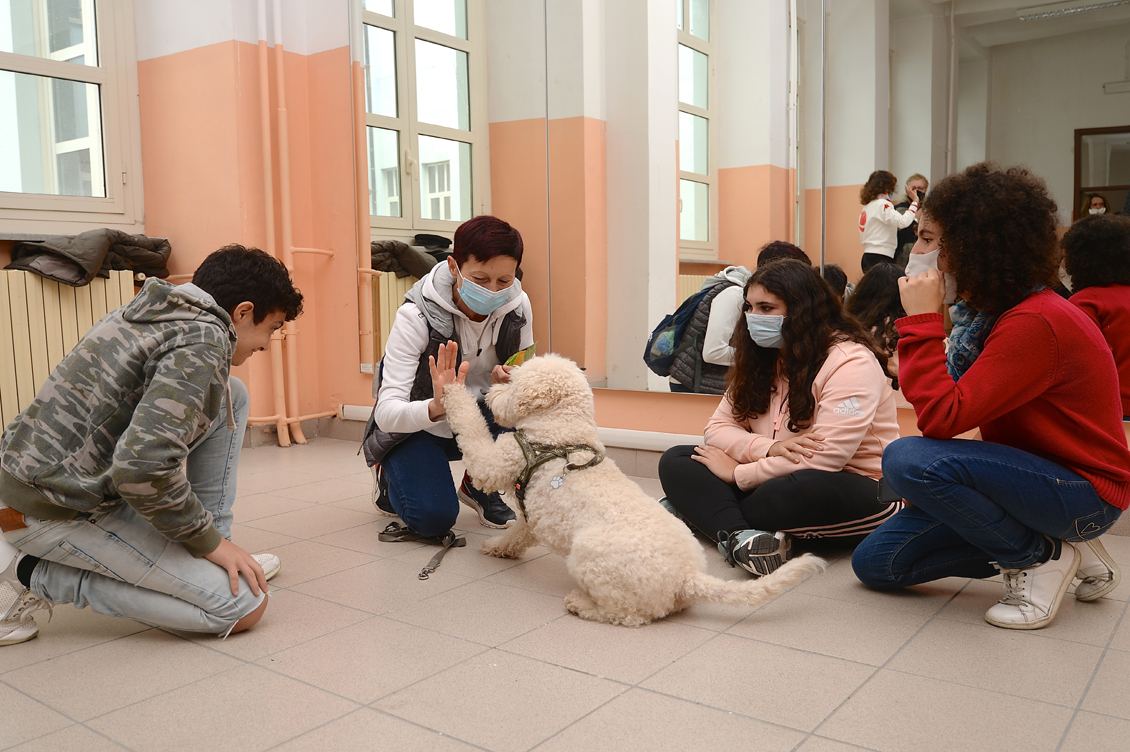 Dog Therapy2 1