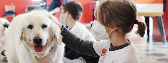 Dog Therapy5