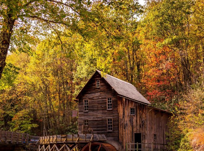 casa di legno nel bosco gratuito foto