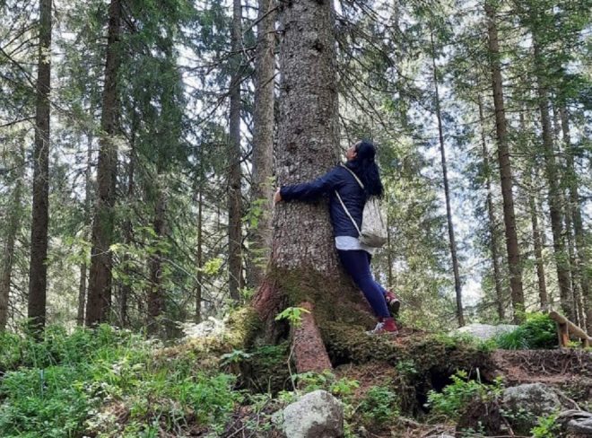 foto bosco
