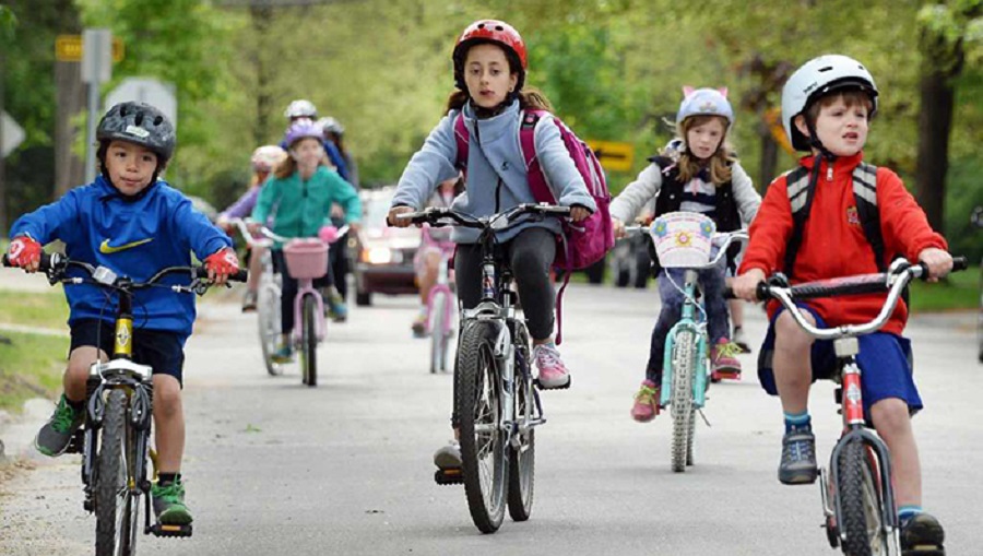mobility manager bici