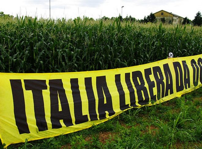 ogm italia