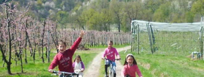 Azienda Borghino1 2