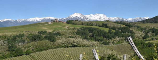 Fondazione Valsesia4