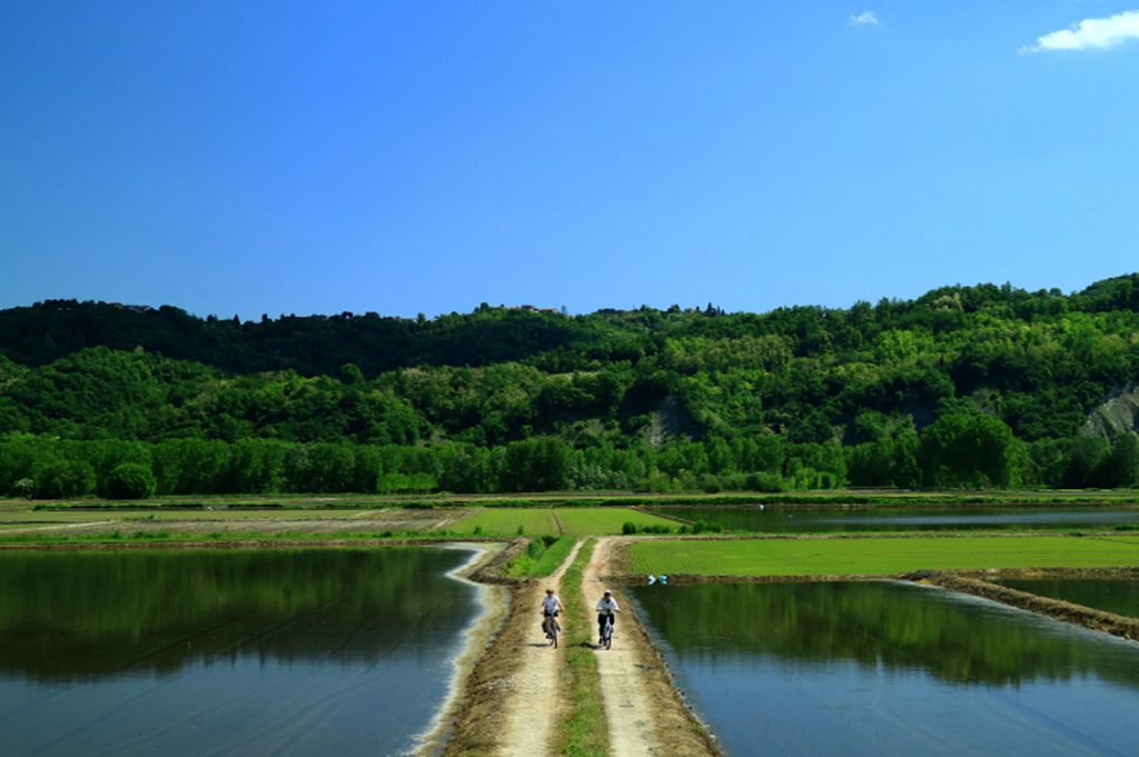Foresta Condivisa Parco Po1