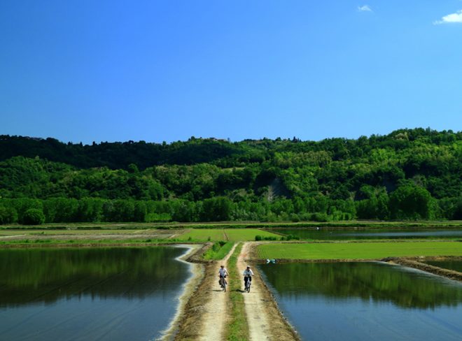 Foresta Condivisa Parco Po1