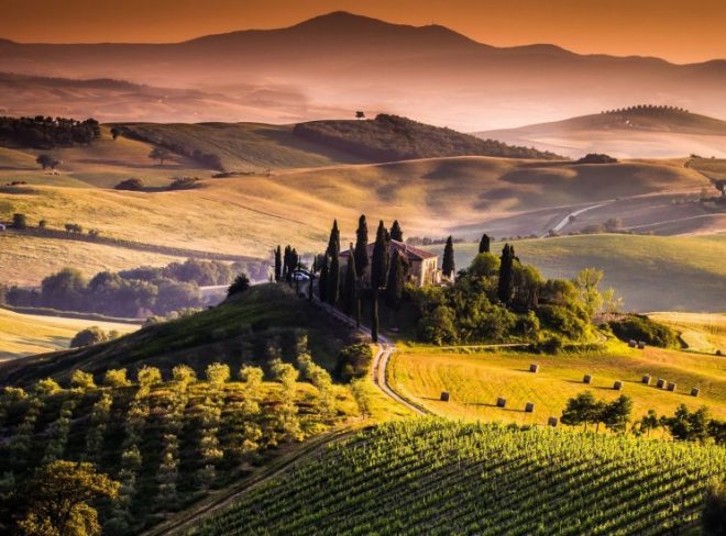 VignetiToscana1 911x550 1