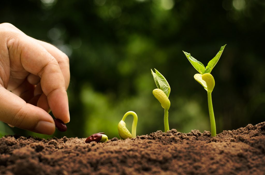 agroecologia