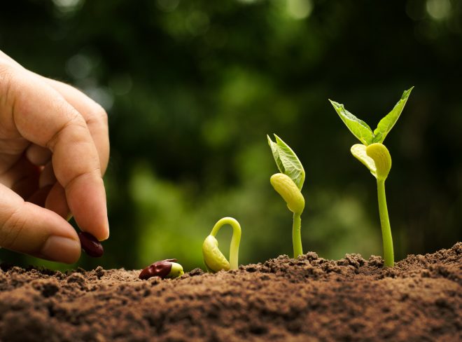 agroecologia