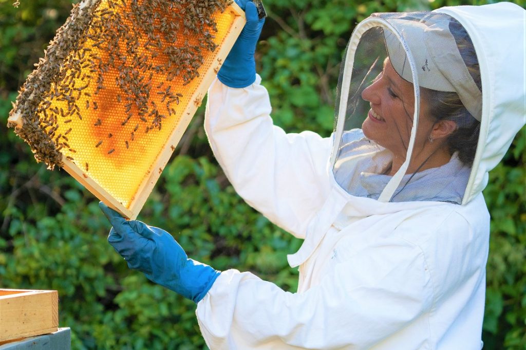 3bee