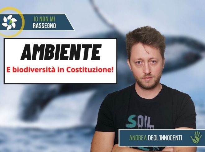 INMR Copertina per homepage 71
