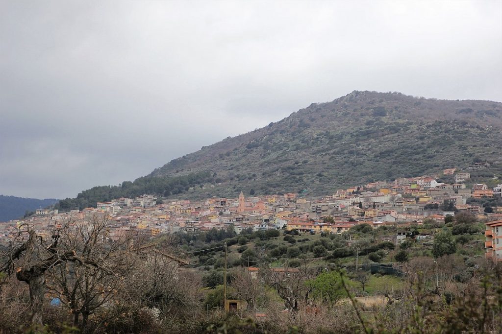 bolotana 1