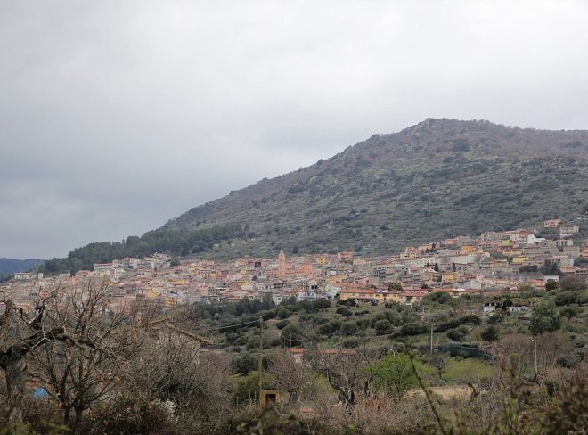 bolotana 1