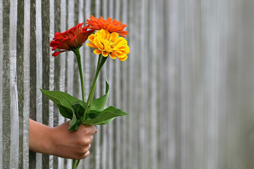 fiori sbarre cambiare idea