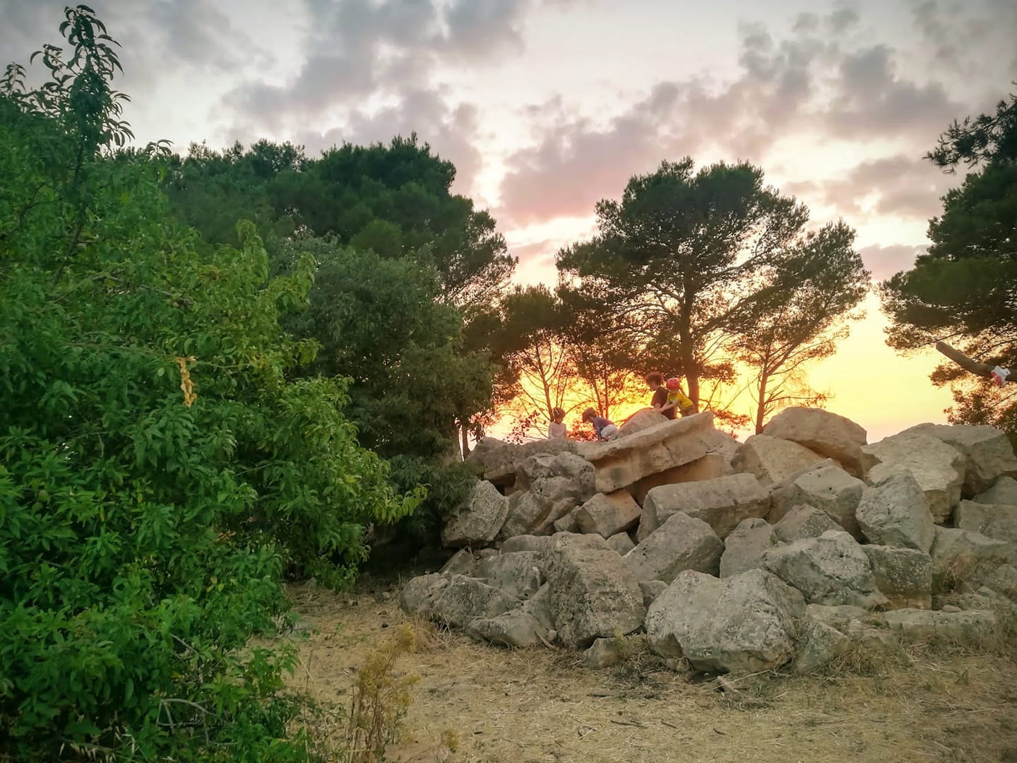 fs02