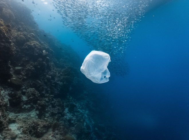 inquinamento degli oceani 2