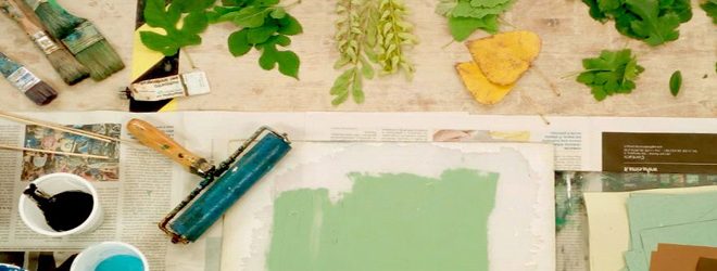 Associazione Terra Verde Onlus4
