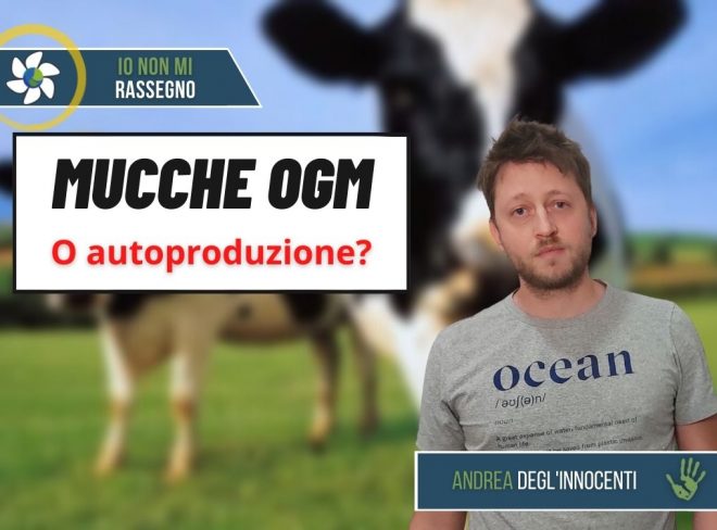 INMR Copertina per homepage 98