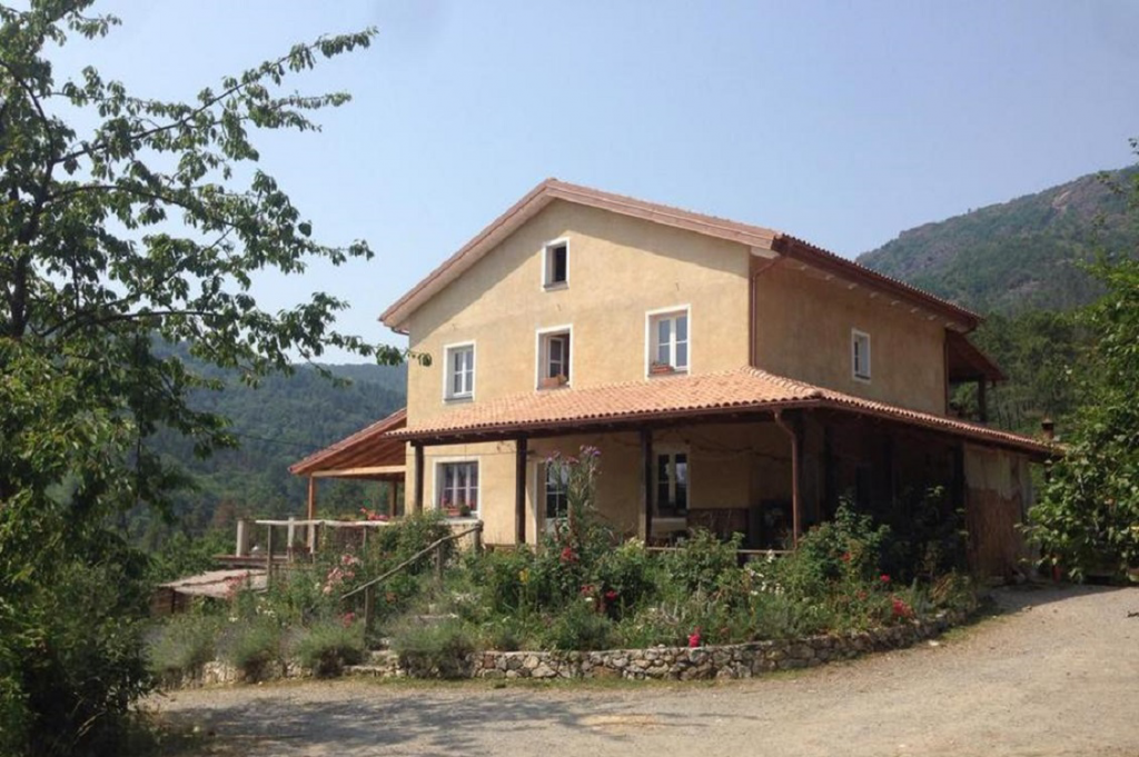 Il filo di paglia 3 1