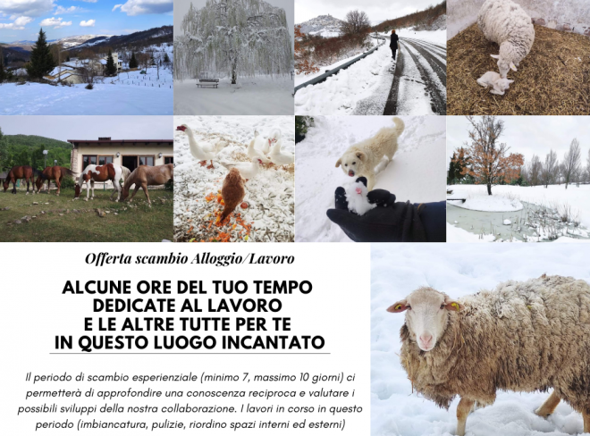 Offerta di Alloggio