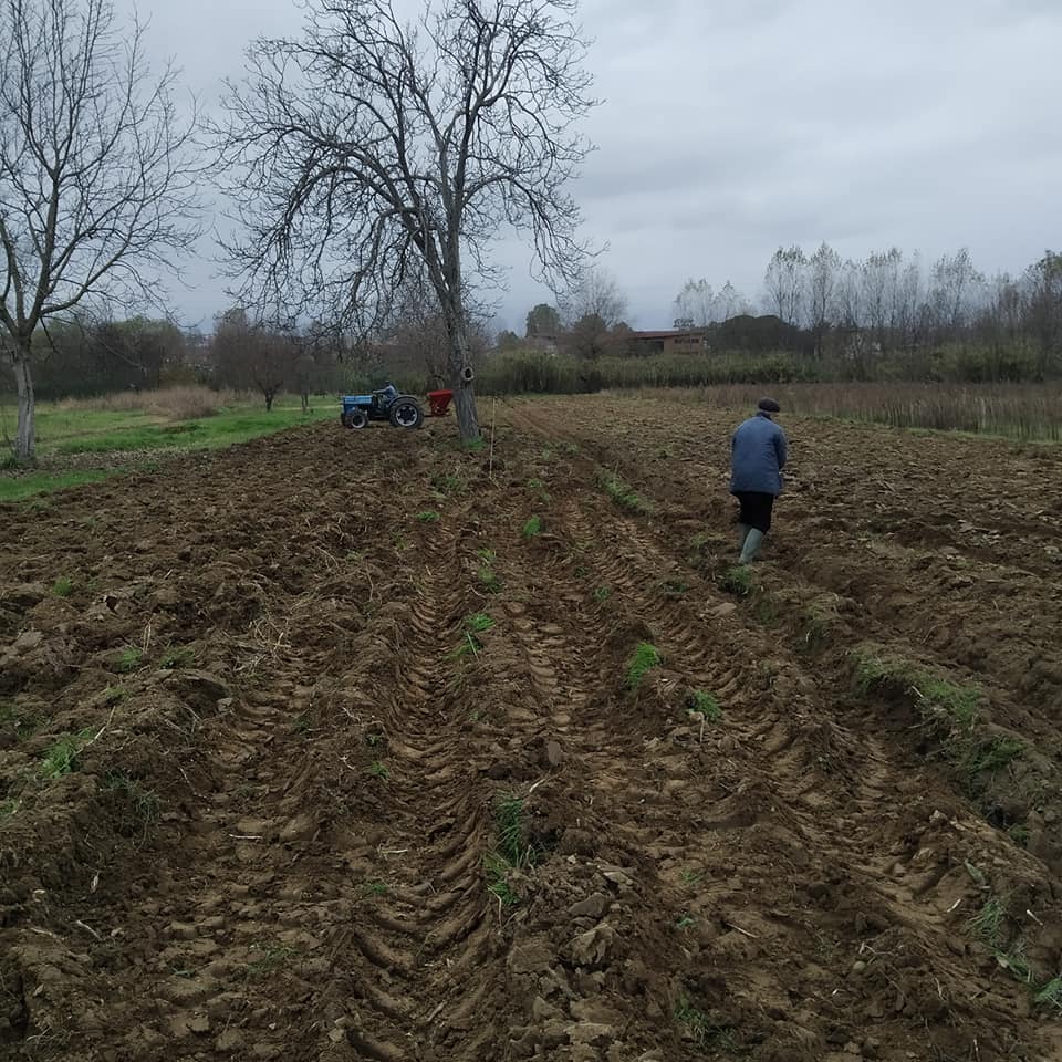 Azienda Agricola La Tatina 5