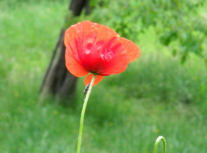 DSCN0197