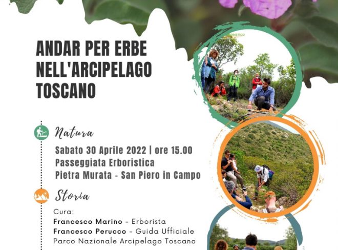 Erborare Isola dElba 30 Aprile Pietra Murata www.benessererboristico.it