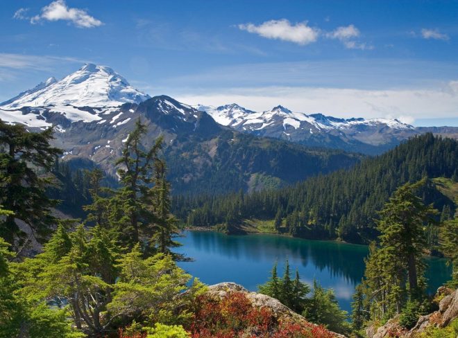 Free Images Forest Desktop HD 1