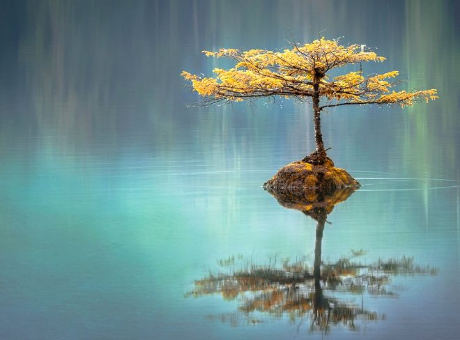 faye cornish Uq3gTiPlqRo unsplash