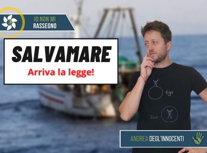 INMR Copertina per homepage 2022 05 13T074352.574