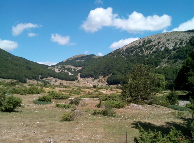 OVINDOLI 15