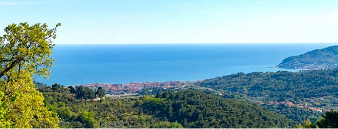 copertinapollaio