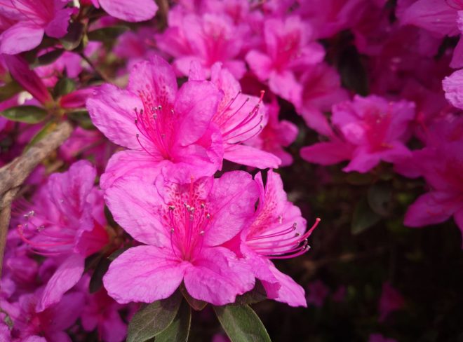 photo 2022 05 06 16 09 41