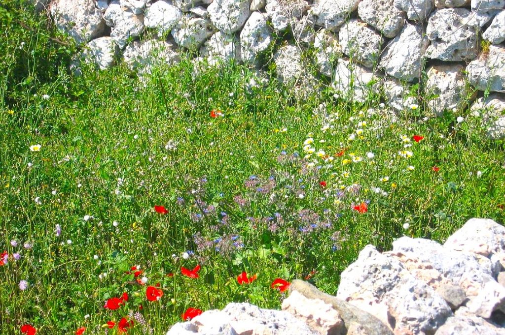 stone wall g6e832fd99 1280