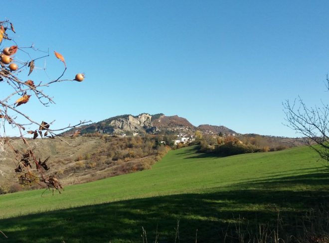 ERBE paesaggio 1