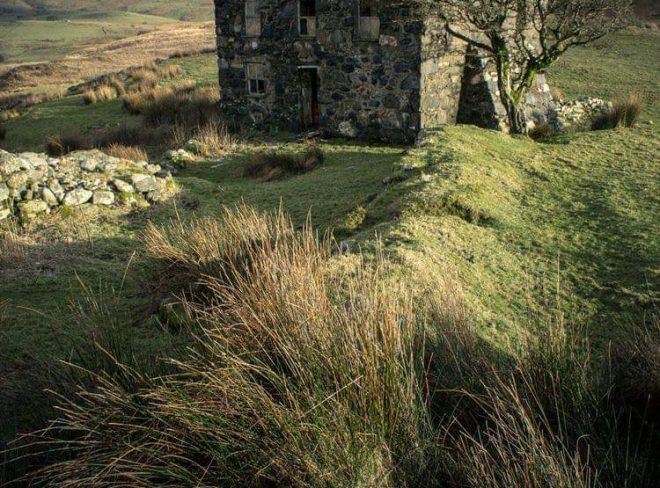 FB IMG 1654608882862 7