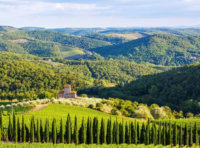 collinefiorentine