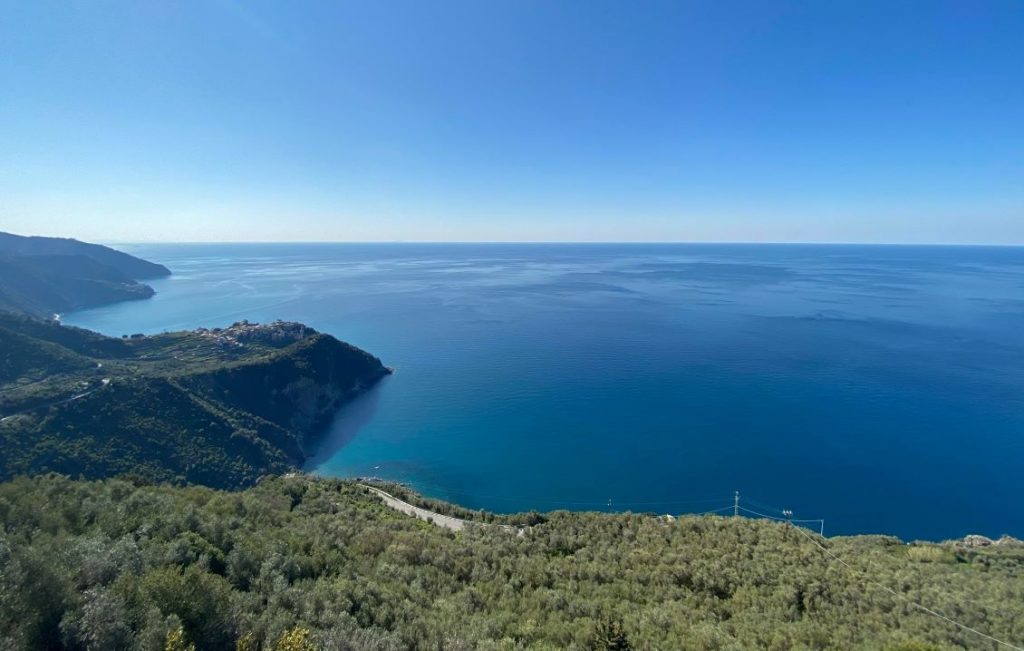 la polenza vista