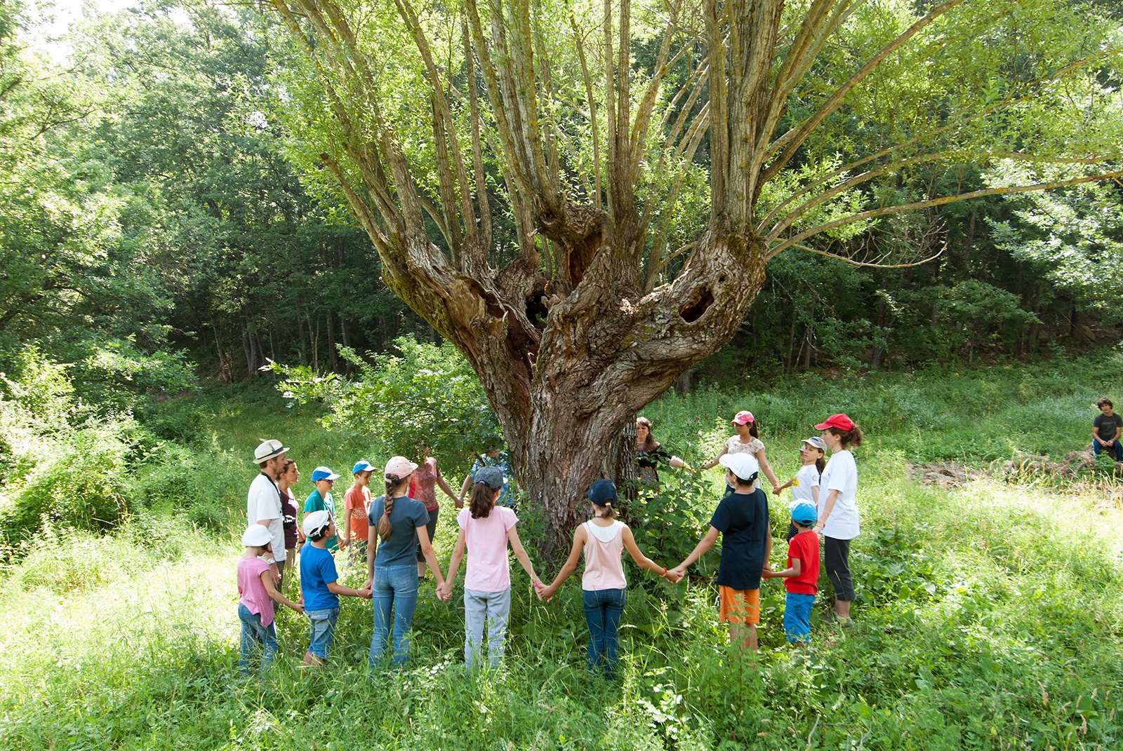 parco mongiardino 1