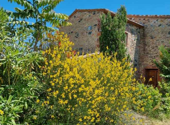 rustico casale di charme in vendita toscana val di cecina volterra
