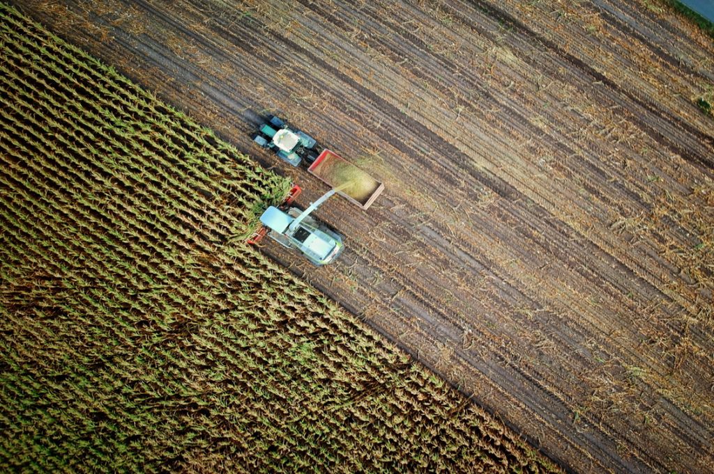 Agriecologia3