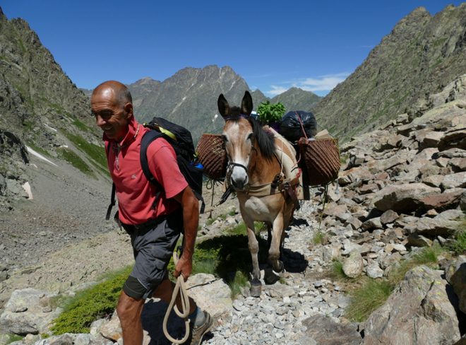 Guide Someggiate Alpine