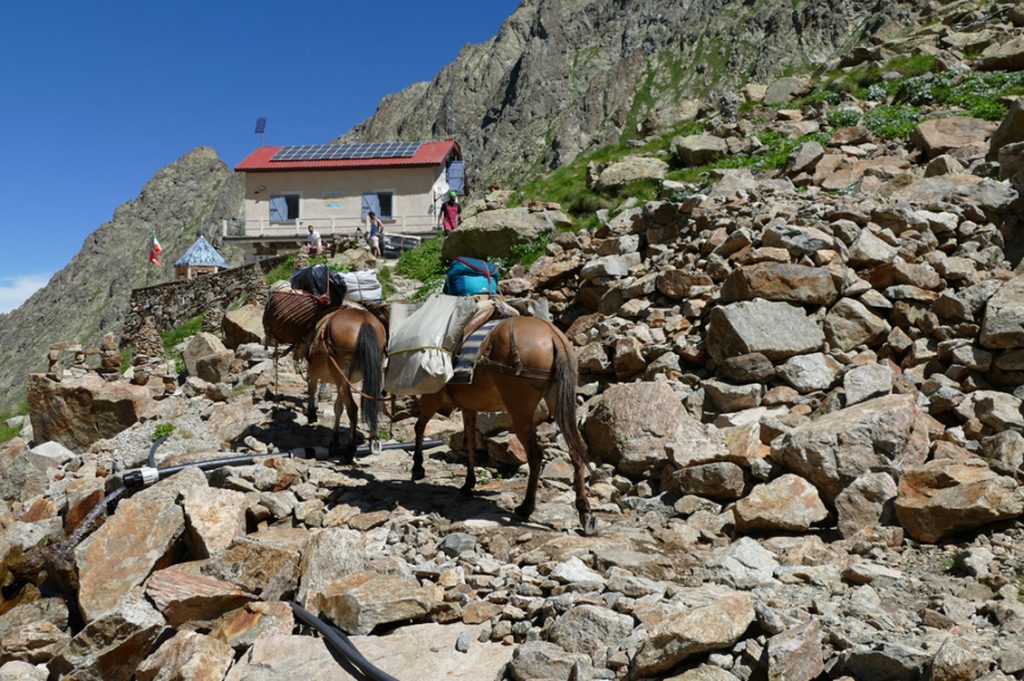 Guide Someggiate Alpine1