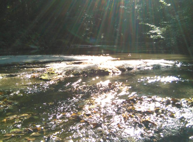 IMG 20220716 172303