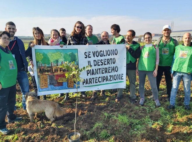 alberi in periferia3