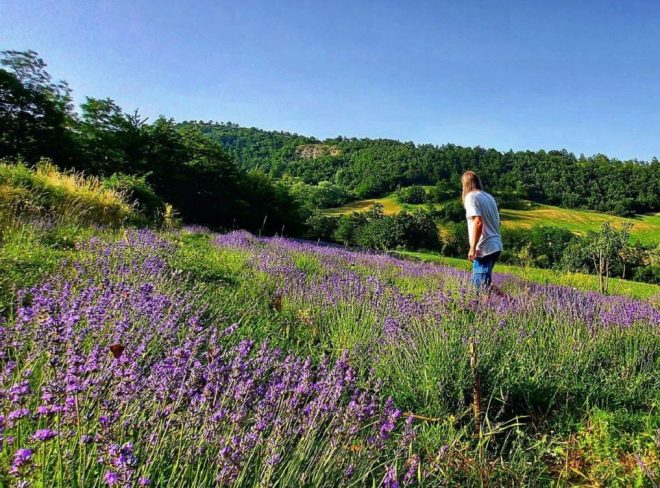 detox fattoria autosufficienza1