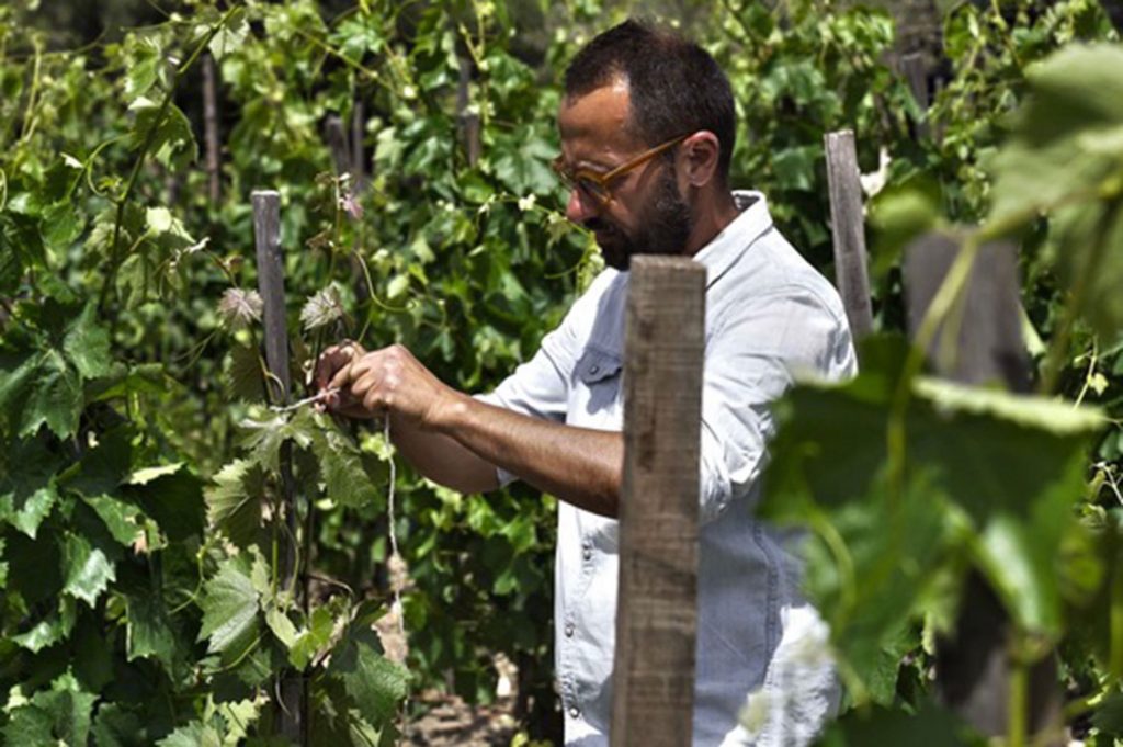 giuseppe cipolla 1