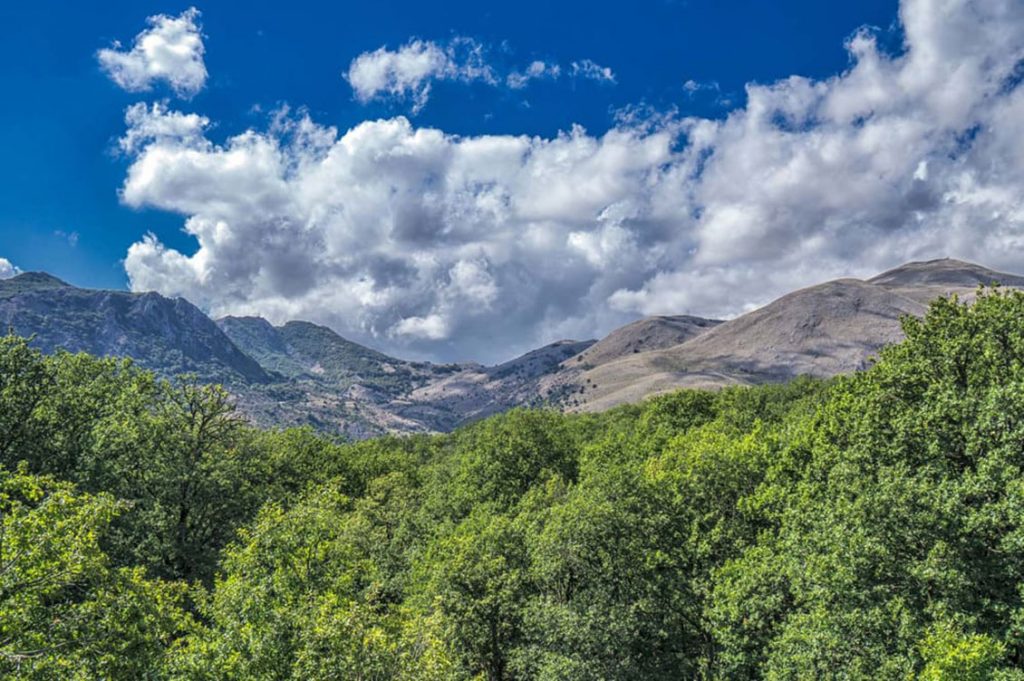 madonie