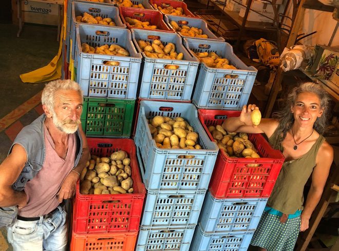 patate in tuttoteca 1